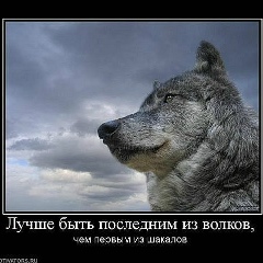 Алексей Куценко, Санкт-Петербург