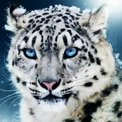 Вадим Микитюк, 22.07.1985, Санкт-Петербург