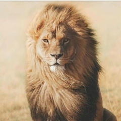 Роман Салихов, 30.08.1989