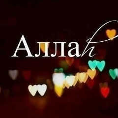 Баяман Алибеков, 24.05, Казань