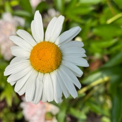 Вероника Ника, 09.11, Набережные Челны