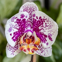 Маша Ильина, 23.02.1989