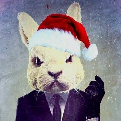 Серый Бобков, Володарск