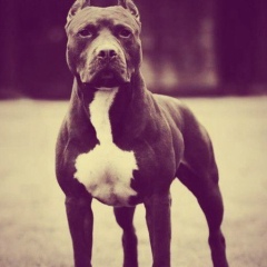 Tima K, 14.04, Астана