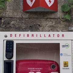 Софья Манасян, Санкт-Петербург