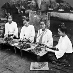 Galaxy Mgmg, 22.03.1978