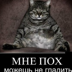 Александр Евтеев, 08.05, Волгоград