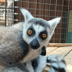 Алексей Фельде, 24.05.1987, Екатеринбург