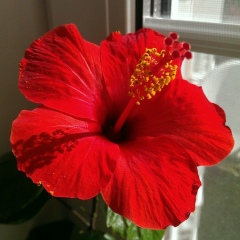 Анастасия Галкина, 22.07, Москва