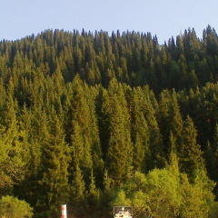 Talgat Mahambetov, 22.02, Шардара