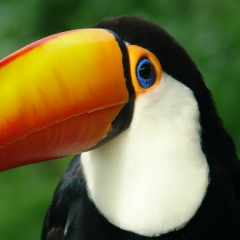 Андрей Петров, 13.08.1996, Камышин