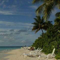 Светлана Сыроежкина, 11.03.1976, Омск