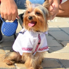 Сашко Калітуха, 18.10, Первомайск