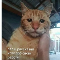 Наталия Крайнова, 25.09, Москва