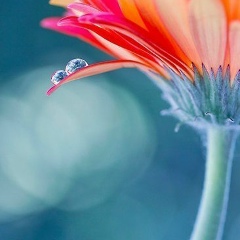 Анастасия Маркина, 31.07, Североморск