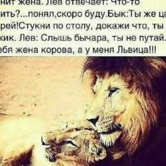 Неся Док