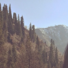 Meruyert Blen, 26.11, Алматы