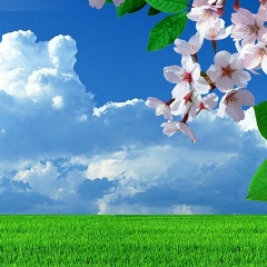 Шерзод Абдураимов, Шымкент