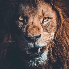 Апти Джандаров, 23.01, Грозный