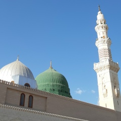 Инзиля Сунгатуллина