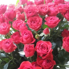 Фатима Яргубе, 09.09.1999, Астана