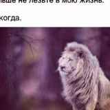 Ансар Маккашарипов, Махачкала