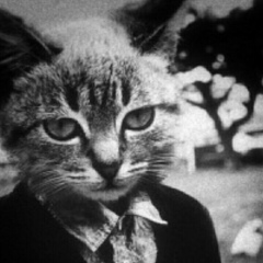 Андрюха Ступак, 31.07.1997, Chicago