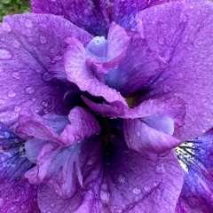 Елена Алексеева, 17.03.1989, Москва