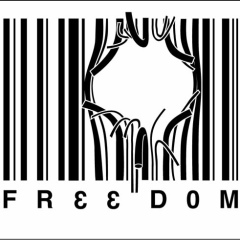 Павел Алексеев, 20.01, Санкт-Петербург