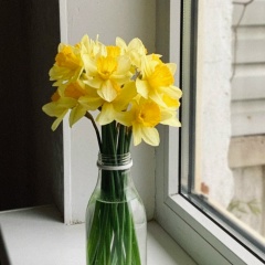 Меруерт Зилгараева, 31.05, Алматы