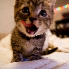 Ксения Сорокина, 06.06, Москва