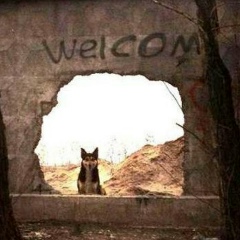 Наташа Столярова