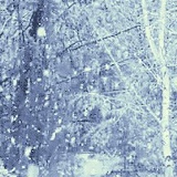 Алексей Фортунатов, 03.12, Санкт-Петербург