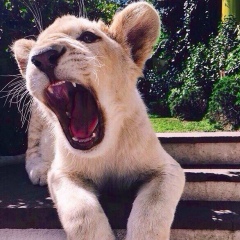 Чарли Чаплин, 07.04, Москва