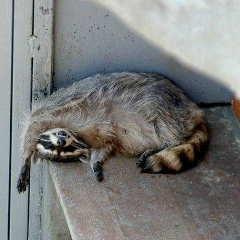 Андрей Крушанов, 16.06.1981, Самара