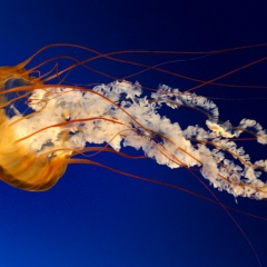 Ерик Ермеков, 25.11, Алматы