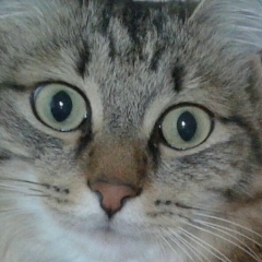 Марусик Ландыш