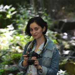 Пикрия Чочиева, 12.04, Москва