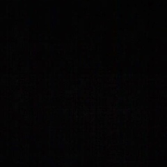 Татьяна Вильган, Киев