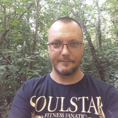 Руслан Колесников, Москва