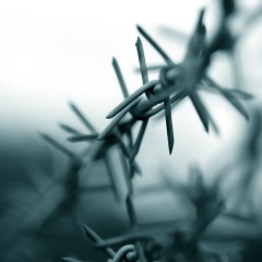 Eduard Mayer, 30.09.1905, Астана