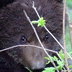 Василий Уткин, 05.01.1901
