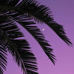 Нурулан Шугупанов, 04.07.1918