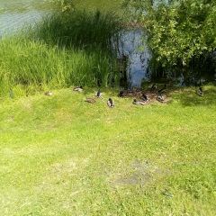 Татьяна Васина, 12.10, Москва