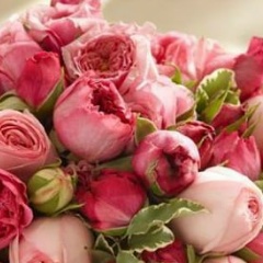 Айша Эсмурзиева, 03.04.1984