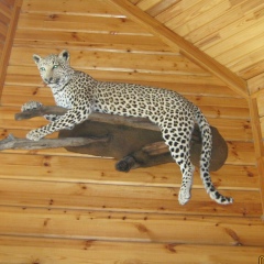 Илья Быстров, 14.07, Бабаево