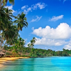 Ar Fe, 18.01, Москва