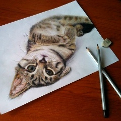 Оля Васильева, 03.01