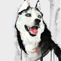 Abai Adai, 17.09, Актау