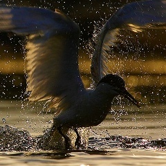 Екатерина Кудинова, 10.11, Москва